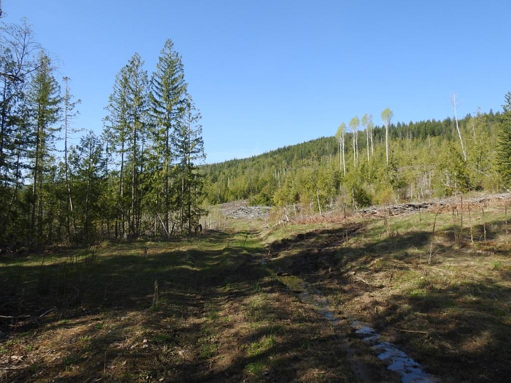 









878


Deep Creek

Road,
Enderby,







BC
V0E 1V3

