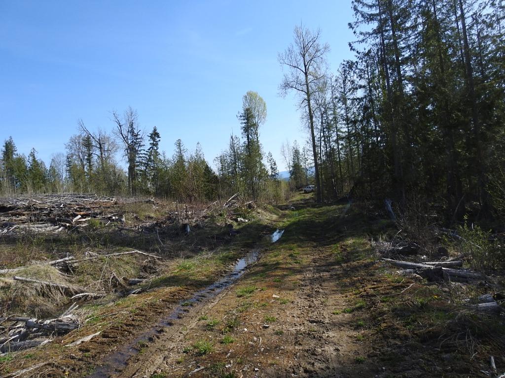 









878


Deep Creek

Road,
Enderby,







BC
V0E 1V3

