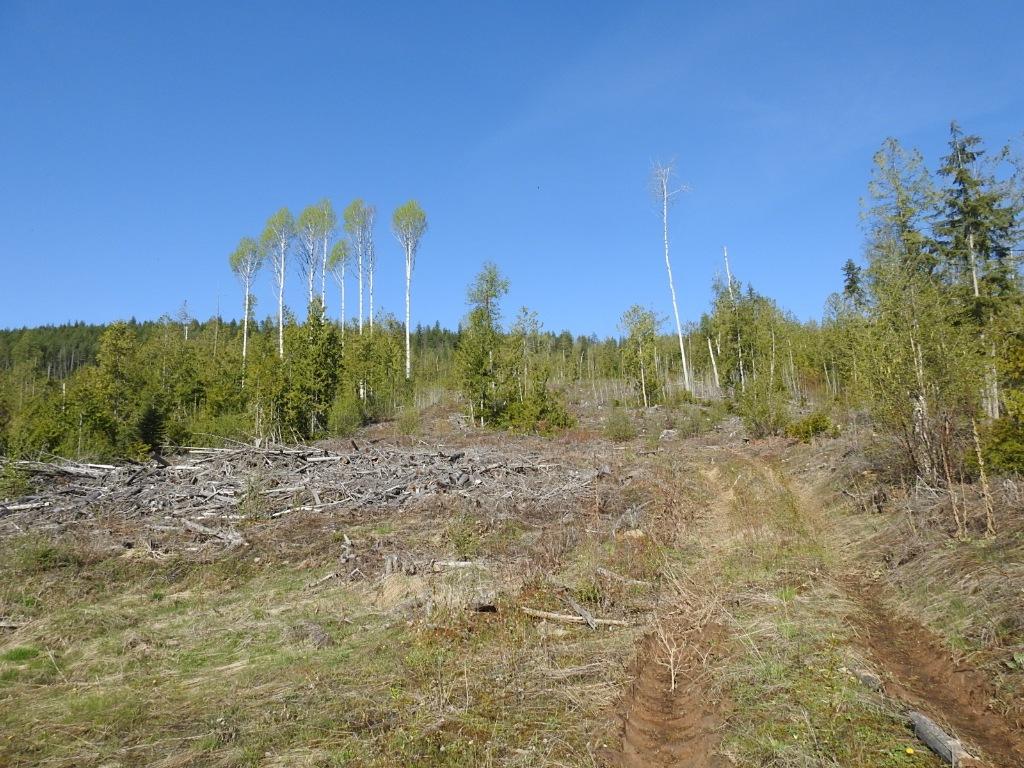 









878


Deep Creek

Road,
Enderby,







BC
V0E 1V3

