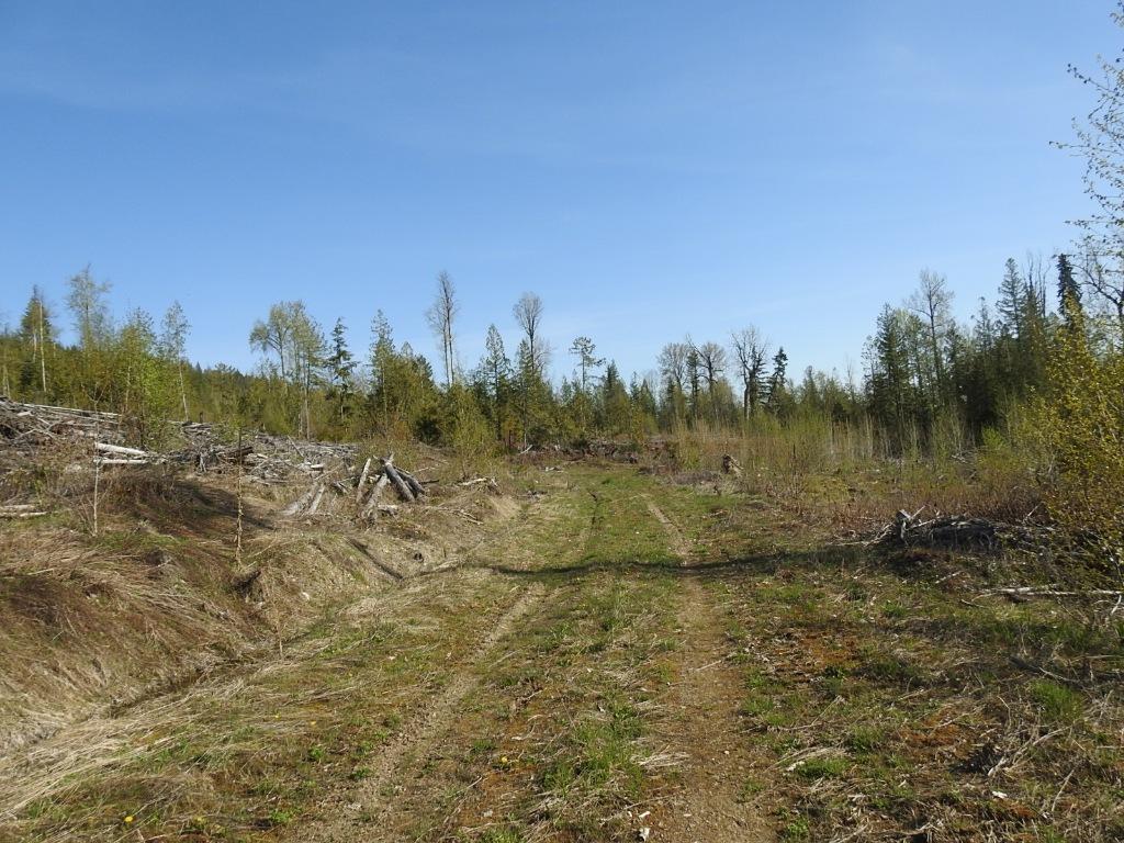 









878


Deep Creek

Road,
Enderby,







BC
V0E 1V3

