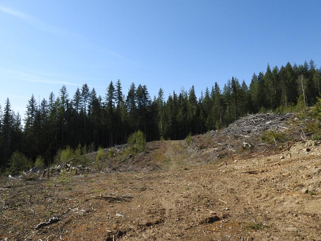 









878


Deep Creek

Road,
Enderby,







BC
V0E 1V3

