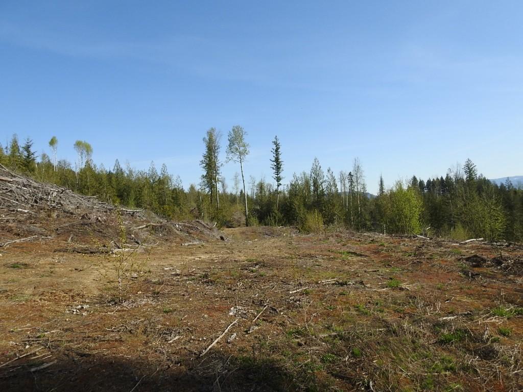 









878


Deep Creek

Road,
Enderby,







BC
V0E 1V3

