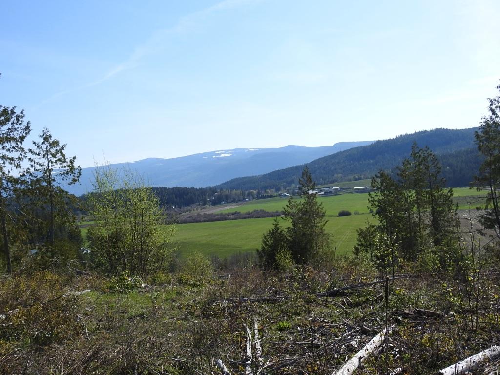 









878


Deep Creek

Road,
Enderby,







BC
V0E 1V3

