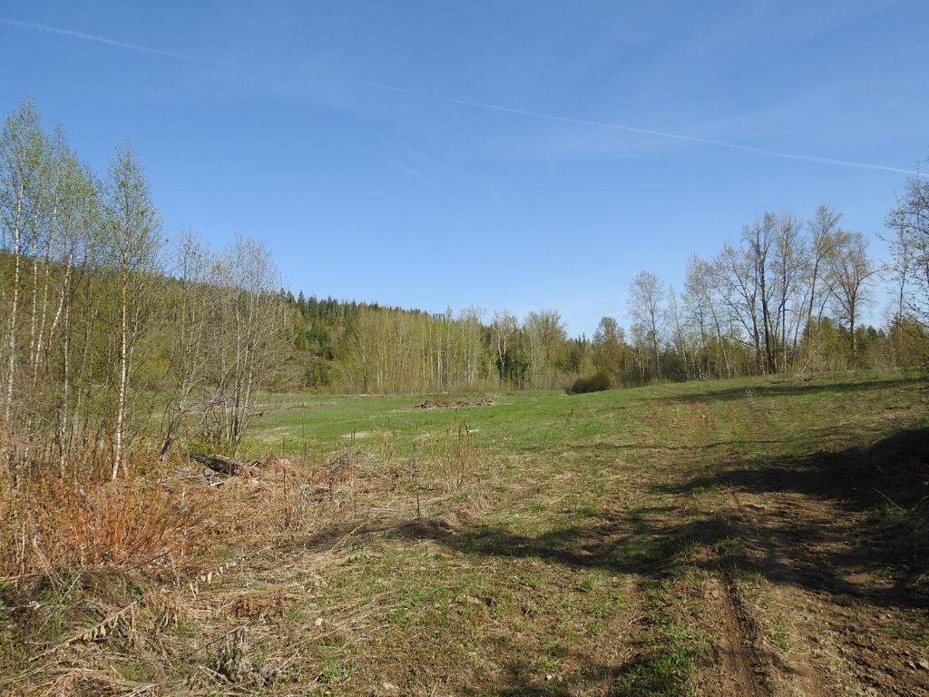 









878


Deep Creek

Road,
Enderby,







BC
V0E 1V3

