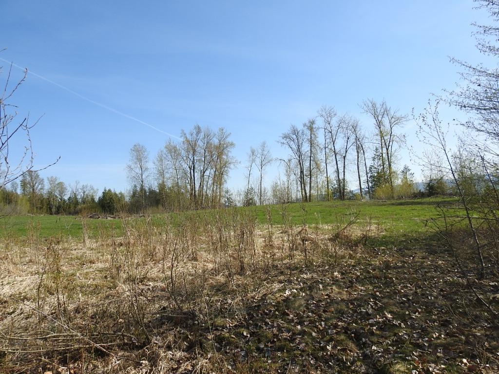









878


Deep Creek

Road,
Enderby,







BC
V0E 1V3


