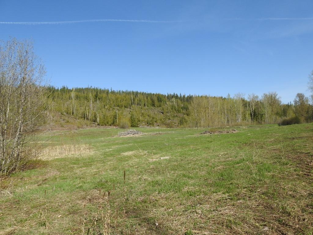 









878


Deep Creek

Road,
Enderby,







BC
V0E 1V3

