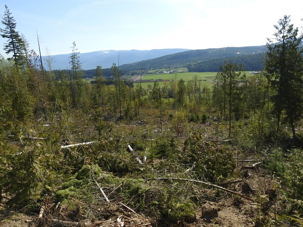 









878


Deep Creek

Road,
Enderby,







BC
V0E 1V3


