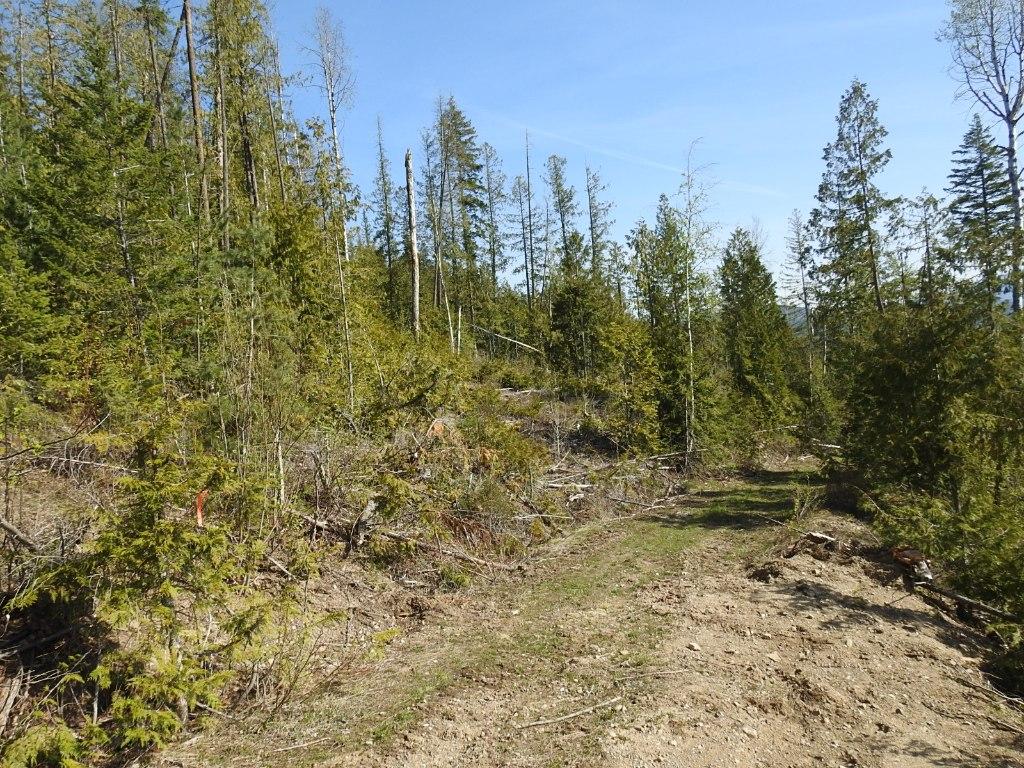 









878


Deep Creek

Road,
Enderby,







BC
V0E 1V3


