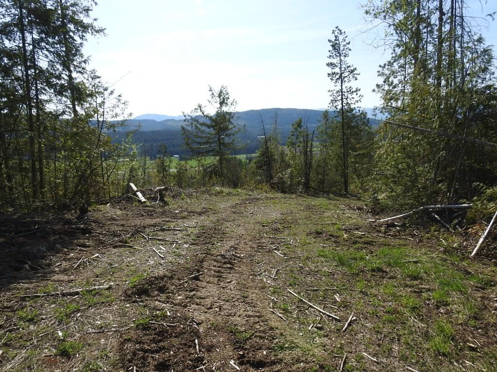 









878


Deep Creek

Road,
Enderby,







BC
V0E 1V3

