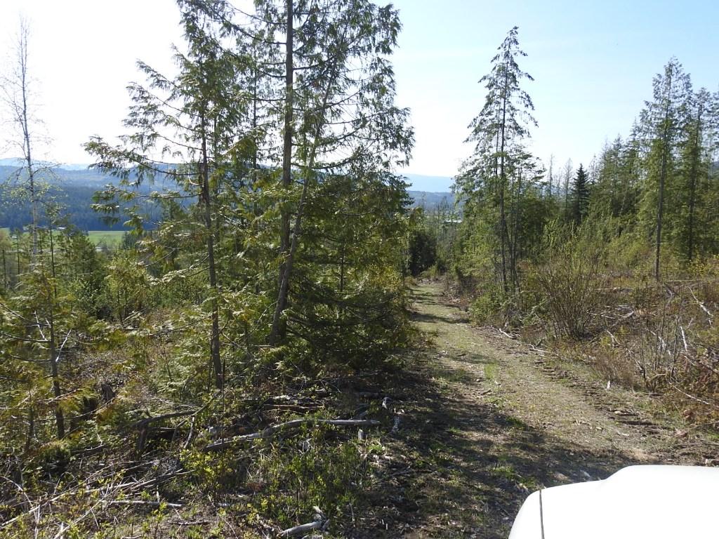 









878


Deep Creek

Road,
Enderby,







BC
V0E 1V3

