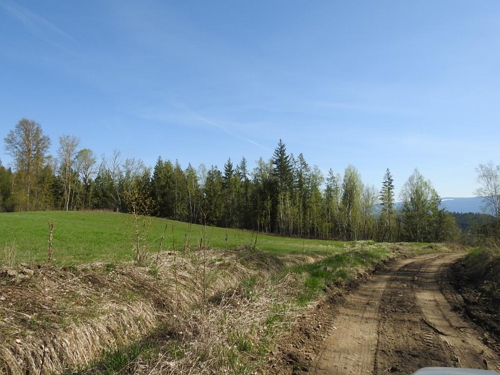 









878


Deep Creek

Road,
Enderby,







BC
V0E 1V3

