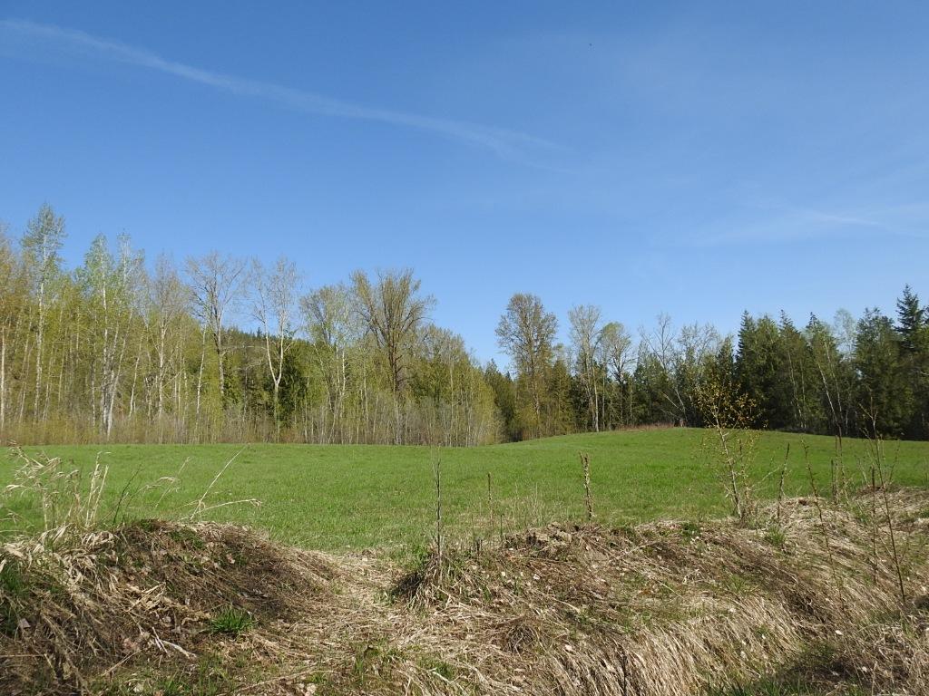 









878


Deep Creek

Road,
Enderby,







BC
V0E 1V3

