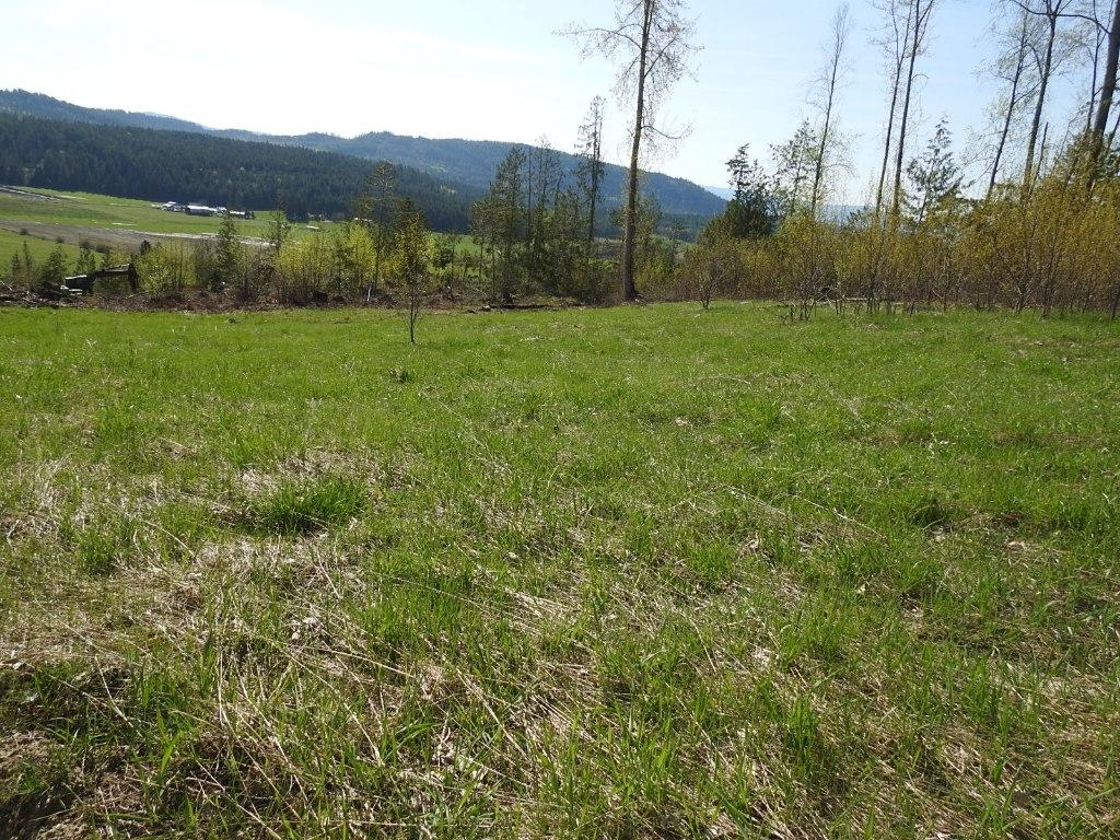 









878


Deep Creek

Road,
Enderby,







BC
V0E 1V3

