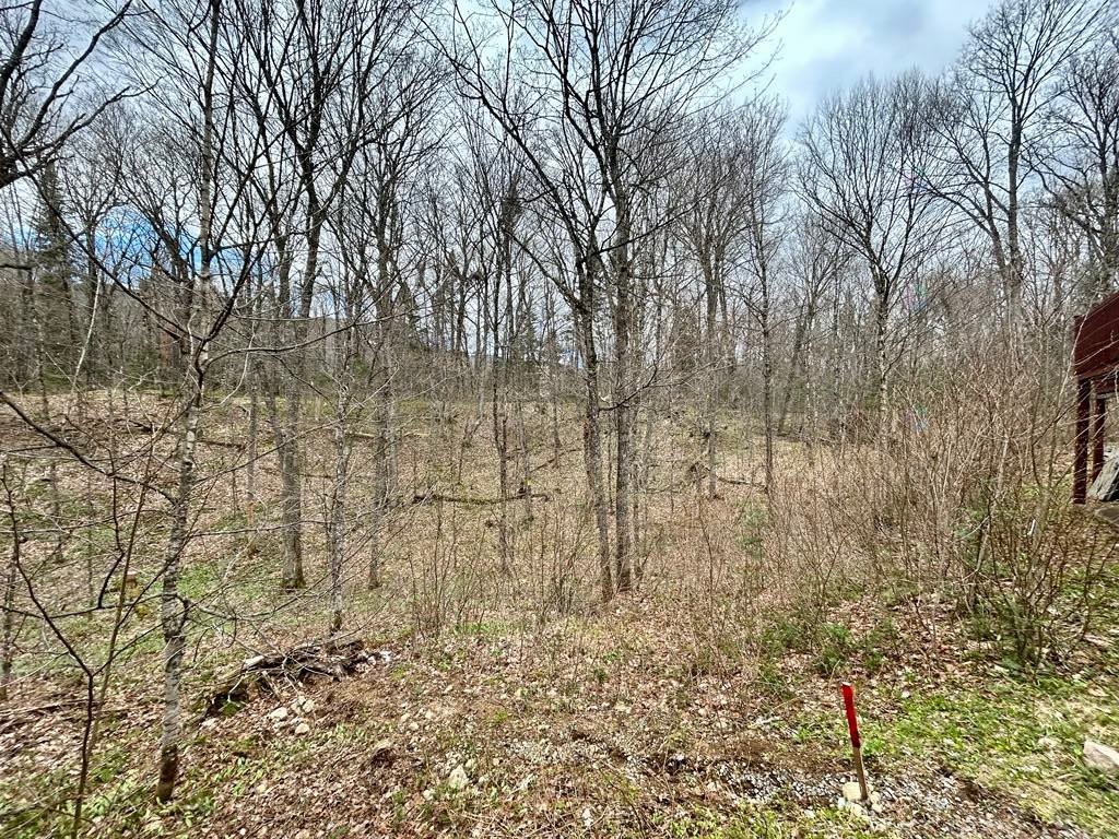 









21


Imp. des Grands-Montets

,
Lac-Supérieur,




QC
J0T1P0

