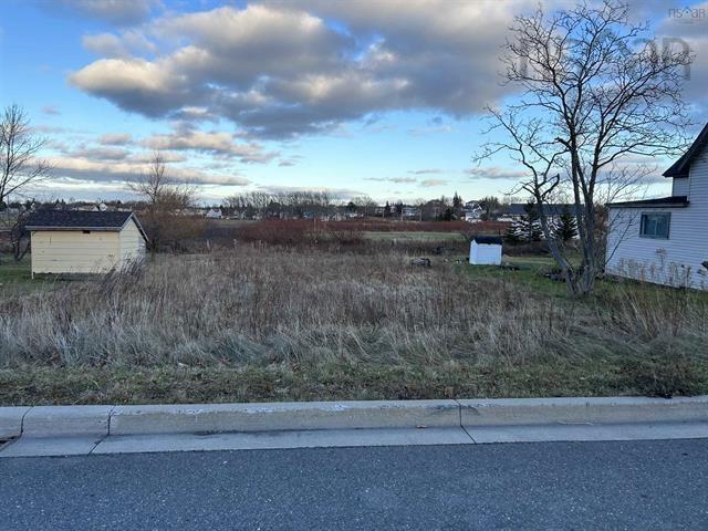 












31 Guy Street

,
Sydney Mines,







NS
B1V 2N5

