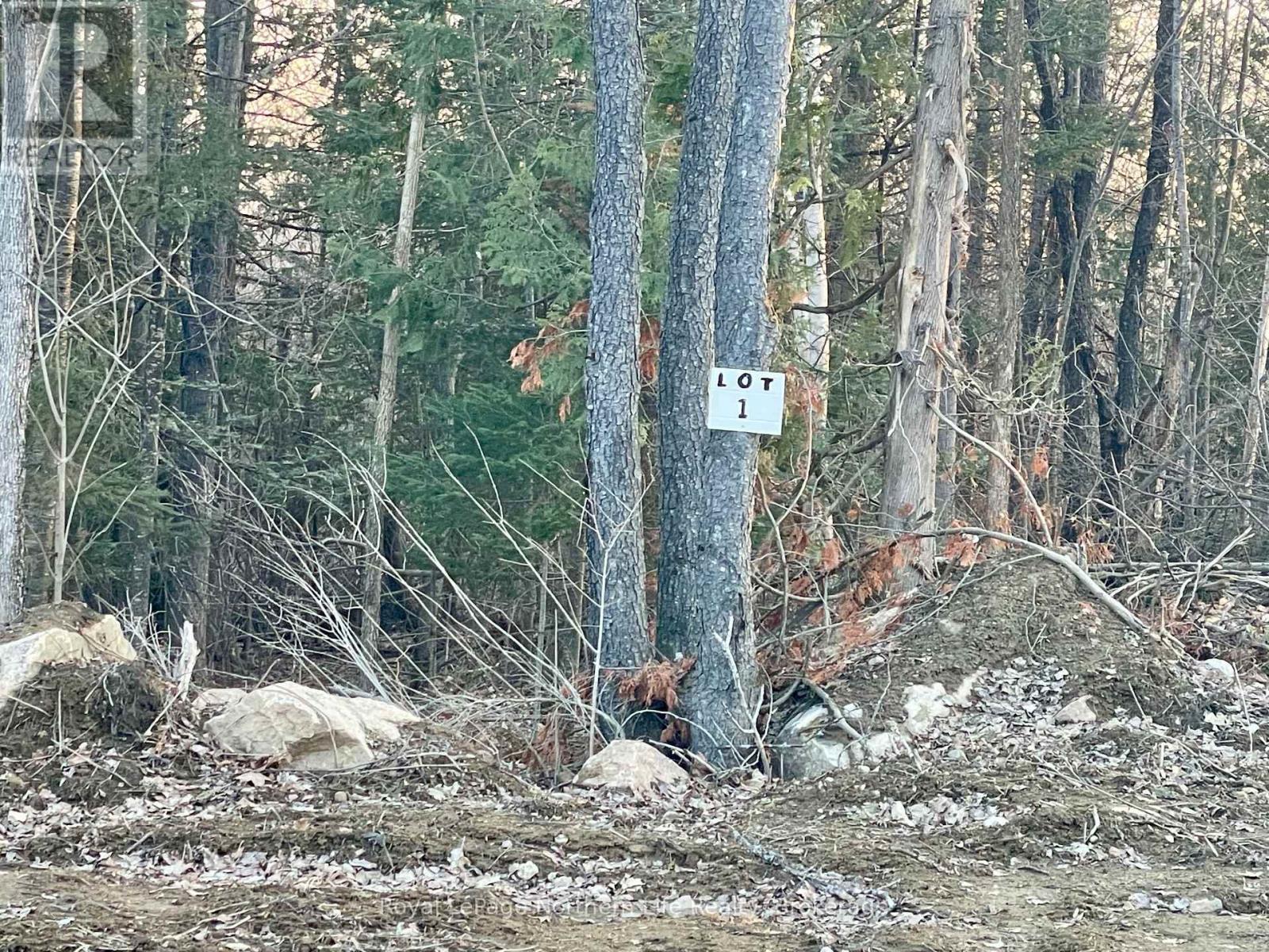 












LOT 1 ERIC STREET

,
Bonfield,







Ontario
P0H1E0

