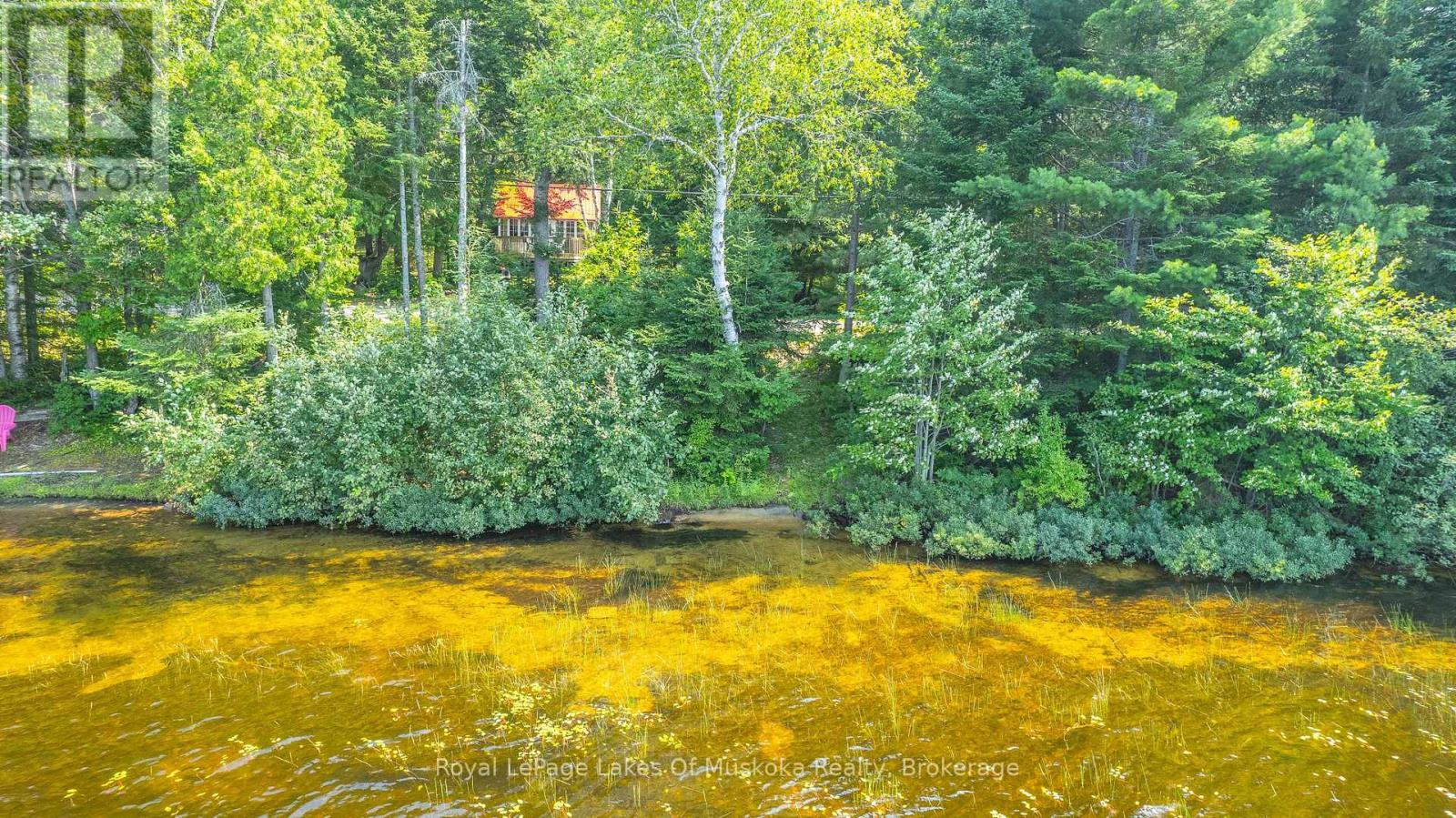 












1257 PAINT LAKE ROAD

,
Lake of Bays (Ridout),




Ontario
P0A1E0

