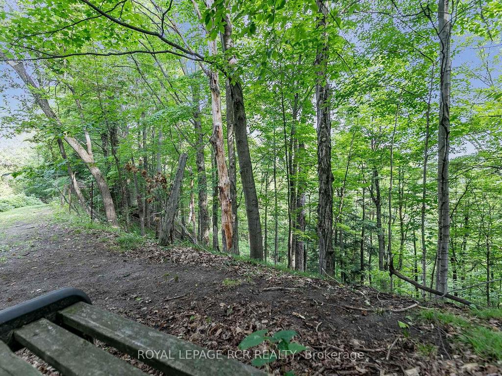 









428510


25th

Side Road,
Mono,




ON
L9V 1G4

