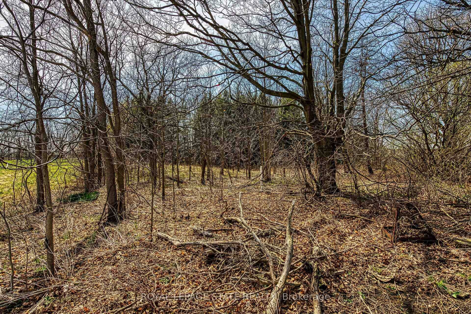 









521


Baptist Church

Road,
Brant,







ON
N3W 2G9

