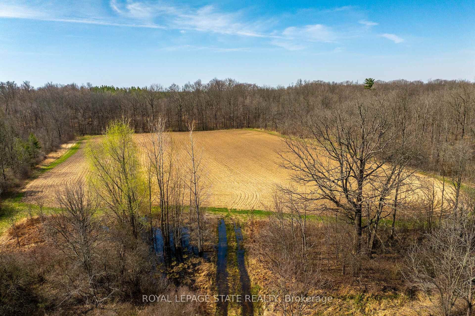 









521


Baptist Church

Road,
Brant,







ON
N3W 2G9

