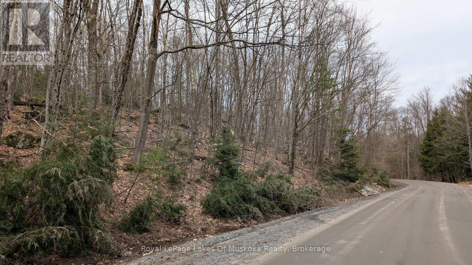 












0 ROCKSBOROUGH ROAD

,
Bracebridge (Draper),







Ontario
P1L1X3

