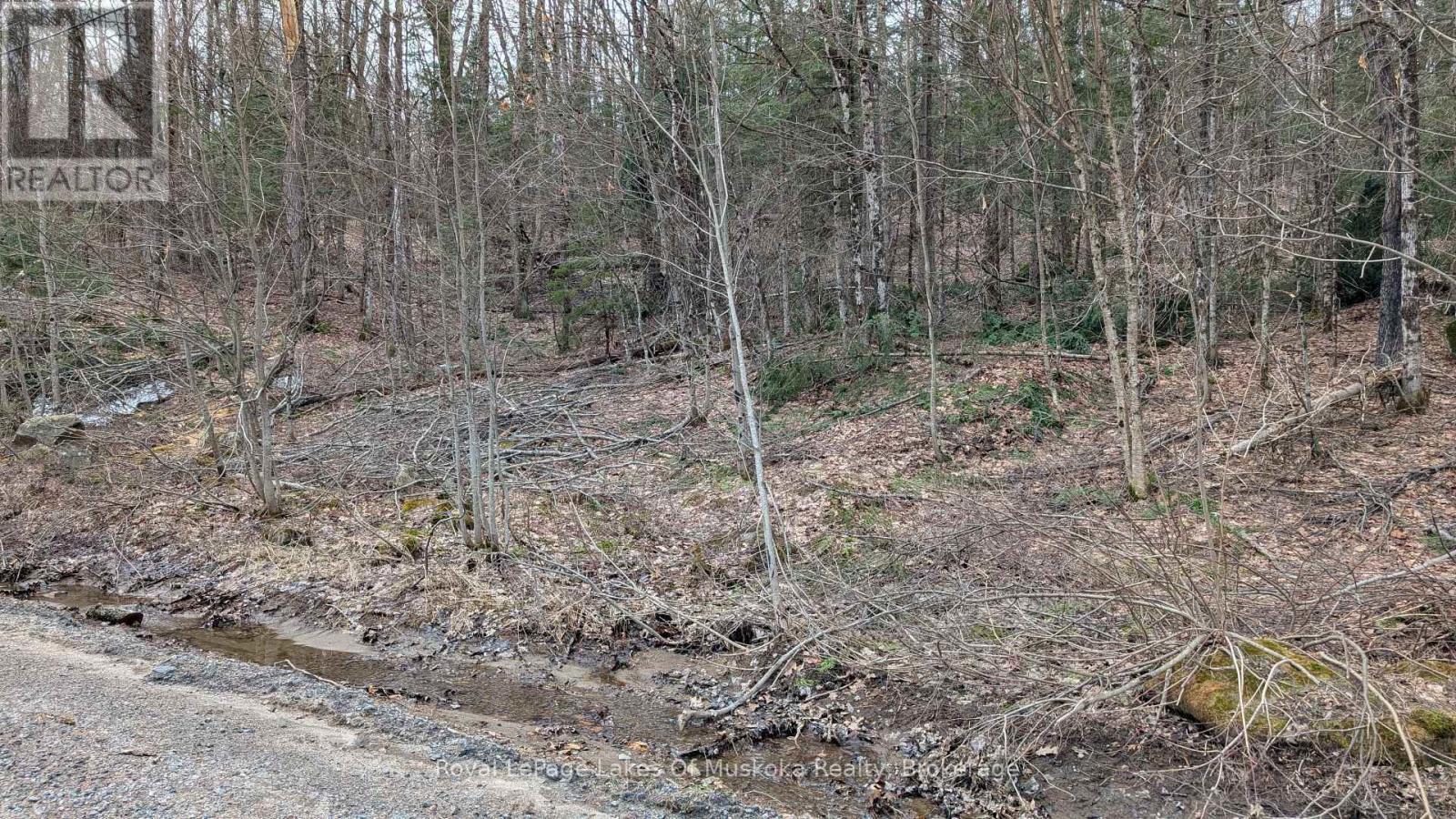 












0 ROCKSBOROUGH ROAD

,
Bracebridge (Draper),







Ontario
P1L1X3

