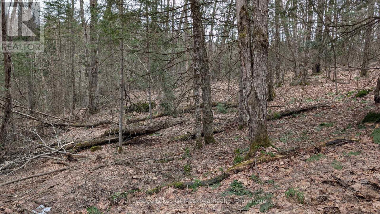 












0 ROCKSBOROUGH ROAD

,
Bracebridge (Draper),







Ontario
P1L1X3

