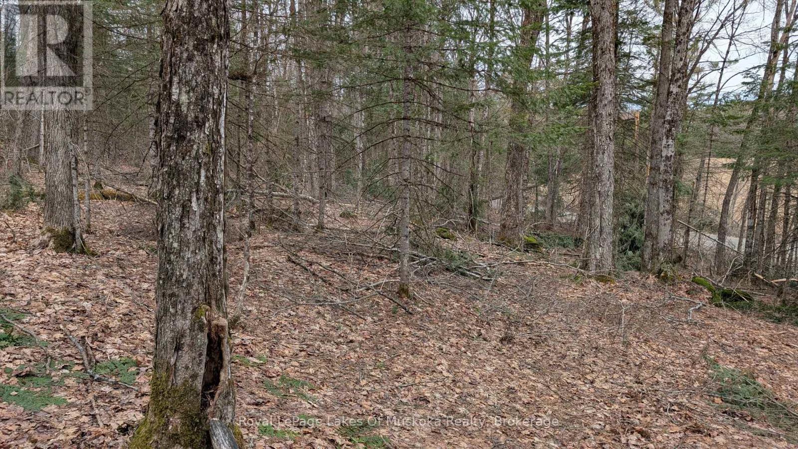 












0 ROCKSBOROUGH ROAD

,
Bracebridge (Draper),







Ontario
P1L1X3

