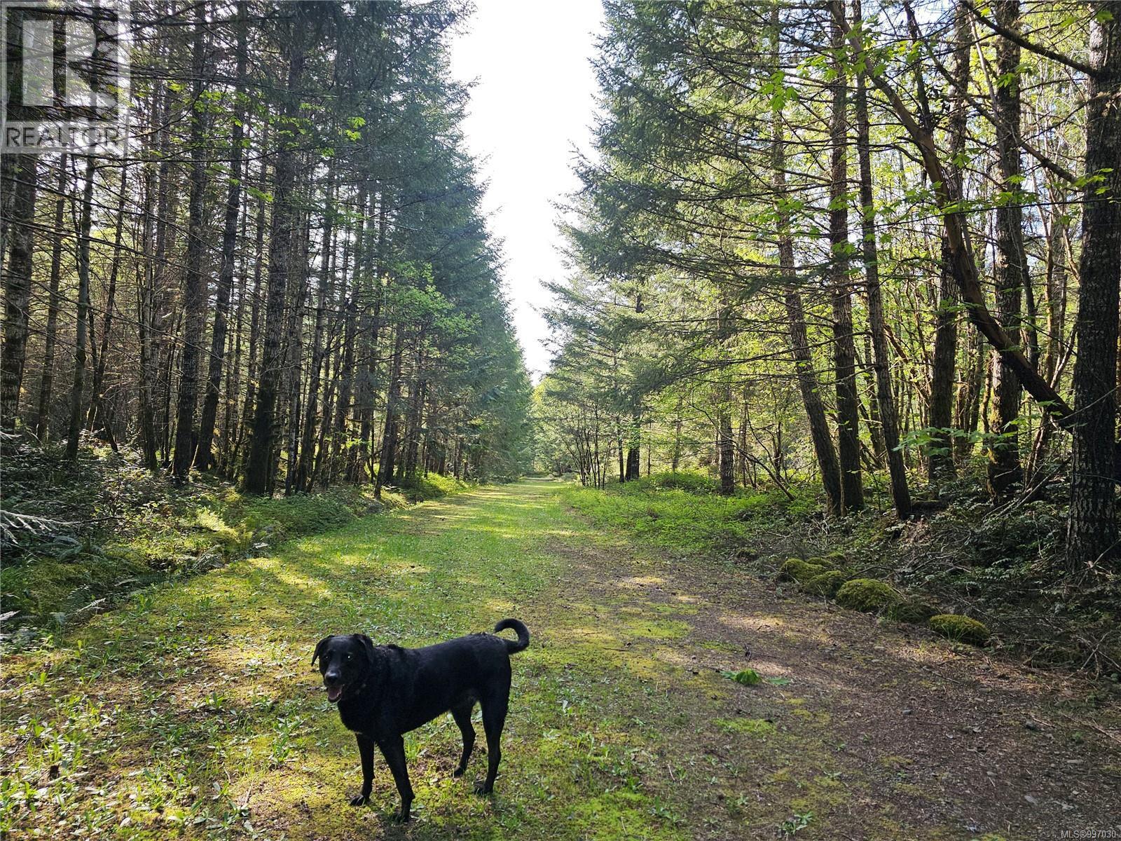 












Block 1 RENFREW Rd

,
Shawnigan Lake,







British Columbia
V0R2W1

