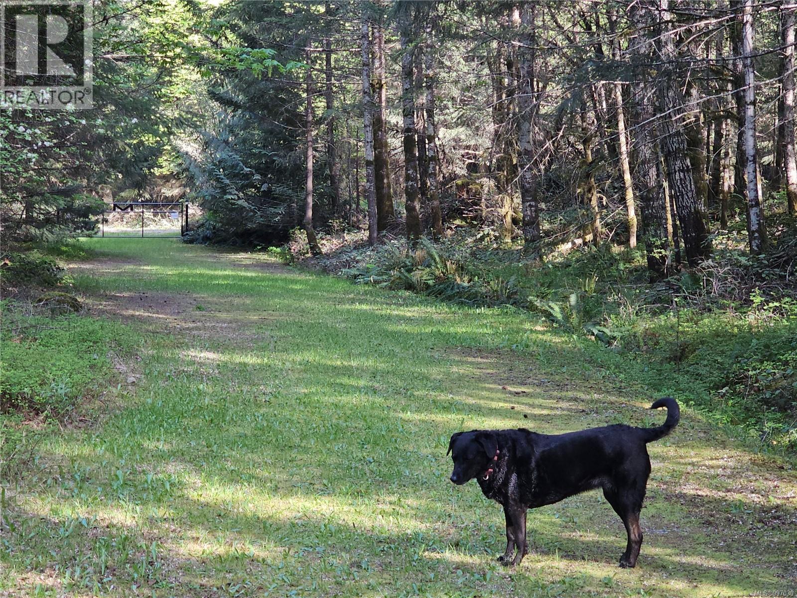 












Block 1 RENFREW Rd

,
Shawnigan Lake,







British Columbia
V0R2W1

