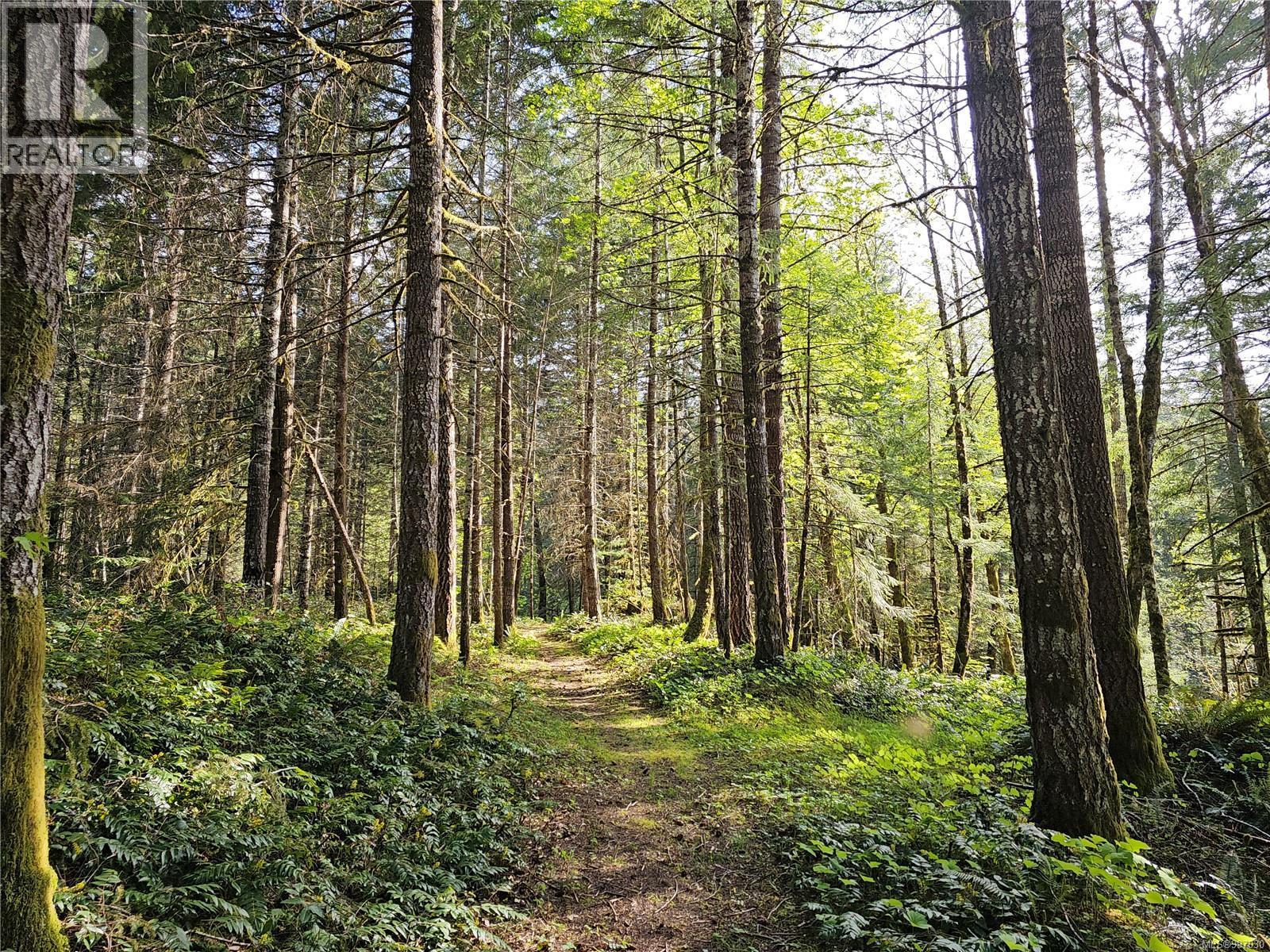 












Block 1 RENFREW Rd

,
Shawnigan Lake,







British Columbia
V0R2W1

