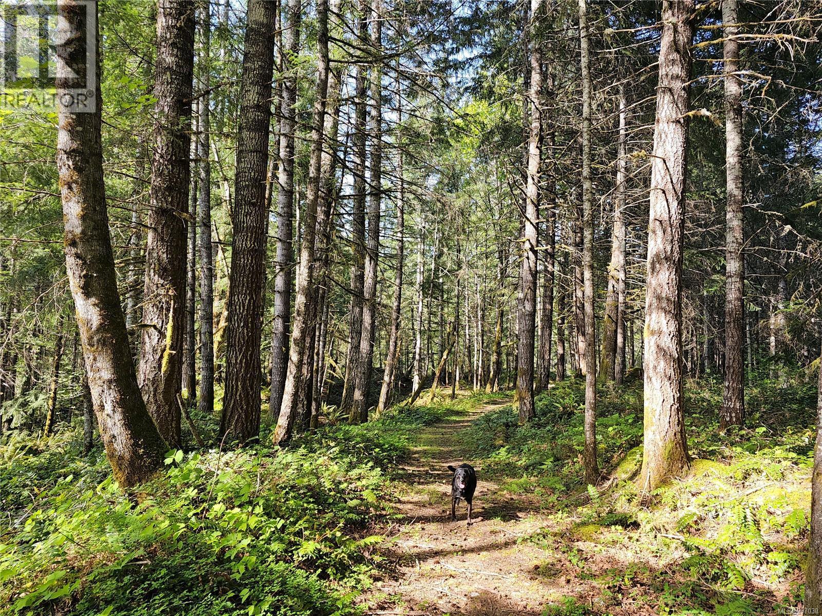 












Block 1 RENFREW Rd

,
Shawnigan Lake,







British Columbia
V0R2W1

