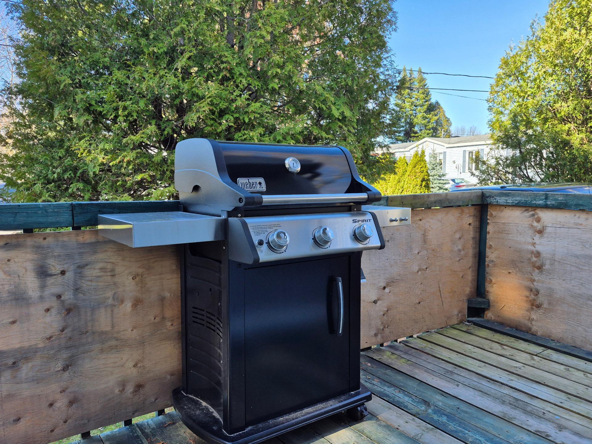 









108


Rue Mystic

,
Brigham,




QC
J2K4W1


