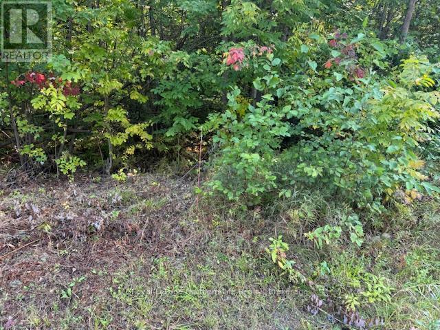 












LOT 2 LAPLAGE ROAD

,
West Nipissing (Verner),







Ontario
P0H1M0

