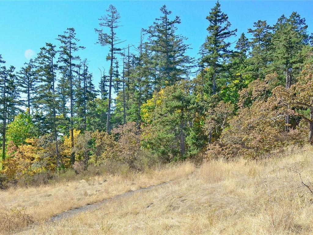 









Lot N


Burnside

Rd West,
Saanich,







BC
V8Z 1N4

