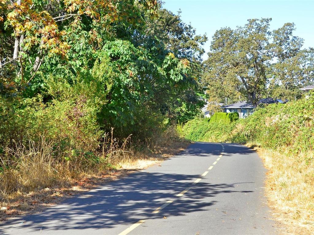 









Lot N


Burnside

Rd West,
Saanich,







BC
V8Z 1N4

