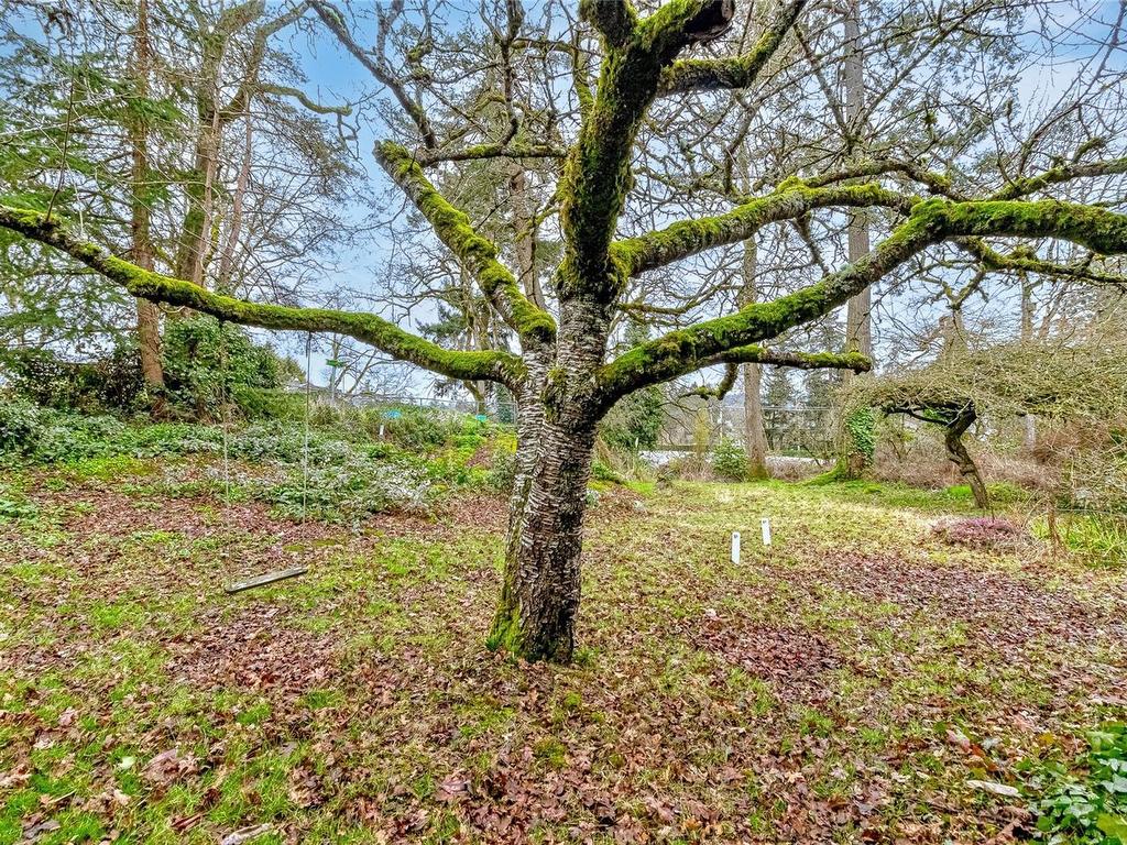 









Lot N


Burnside

Rd West,
Saanich,







BC
V8Z 1N4

