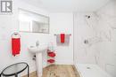 Bsmt Bath with walk in shower