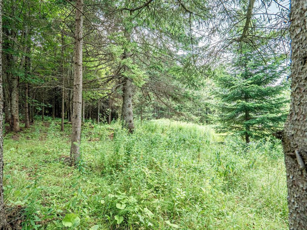 









49


Rue Principale E.

,
Notre-Dame-des-Bois,




QC
J0B2E0

