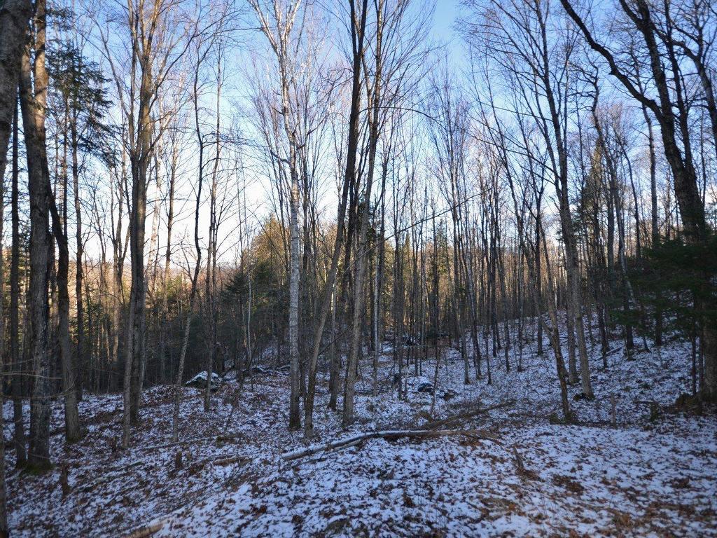 












Ch. des Amérindiens

,
Mont-Tremblant,







QC
J8E0C7

