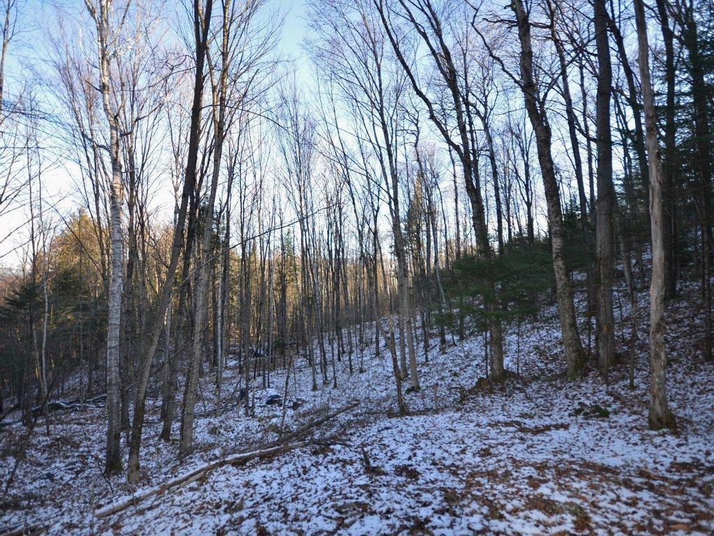 












Ch. des Amérindiens

,
Mont-Tremblant,







QC
J8E0C7

