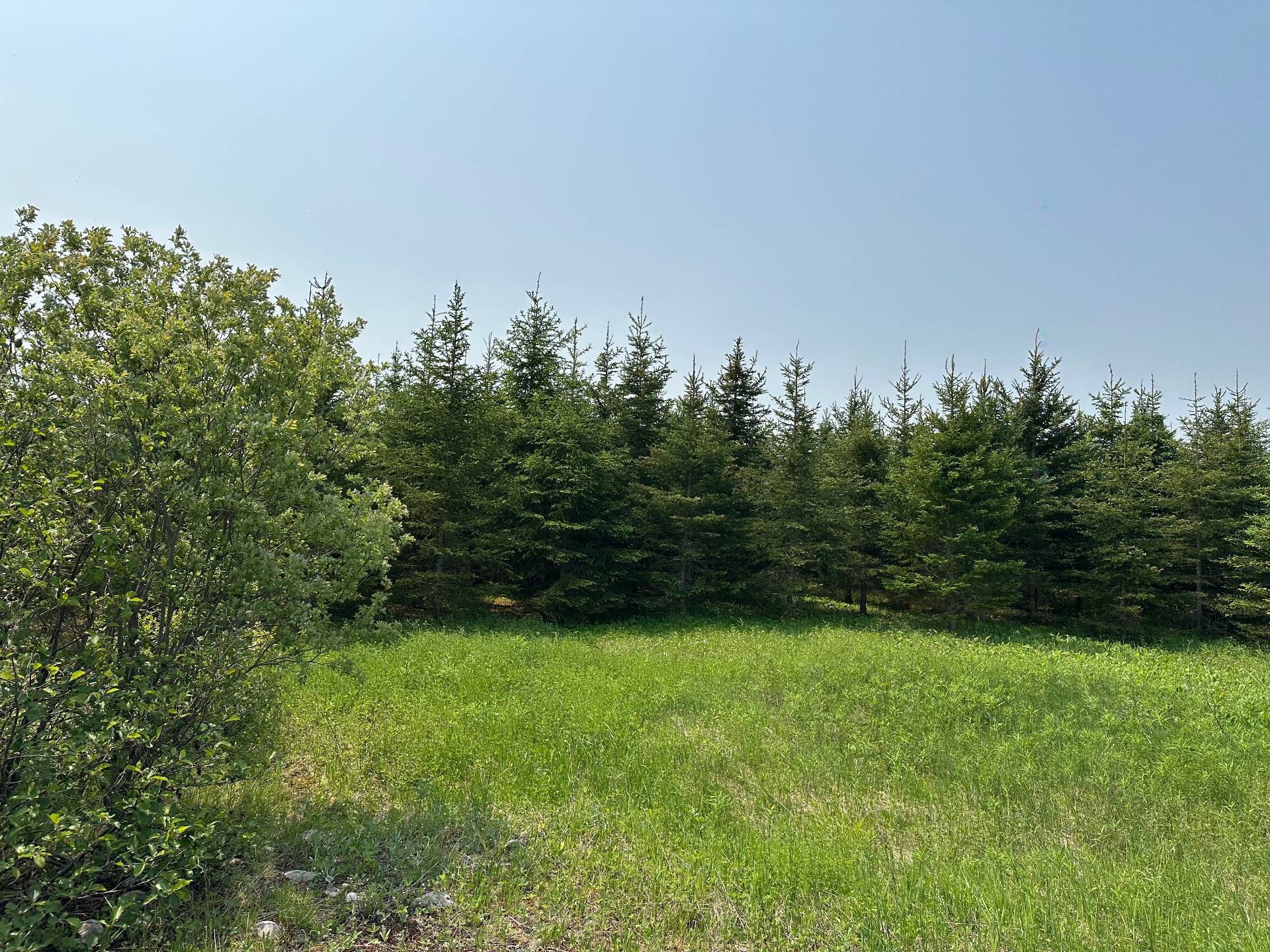 












Ch. de la Rivière-Fraser

,
Latulipe-et-Gaboury,







QC
J0Z2N0

