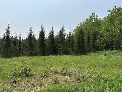 Photo de l'inscription vedette 