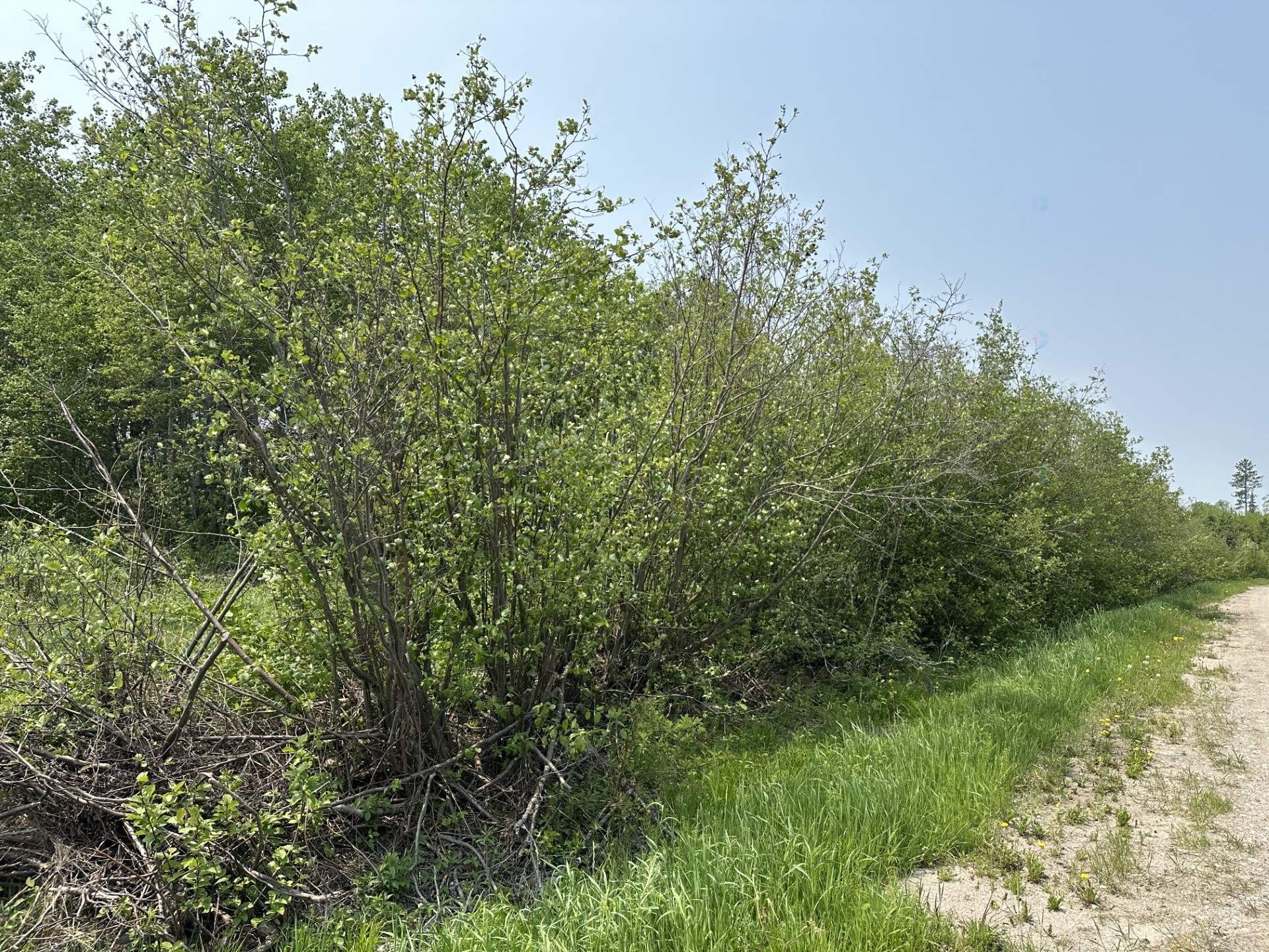 












Ch. de la Rivière-Fraser

,
Latulipe-et-Gaboury,







QC
J0Z2N0

