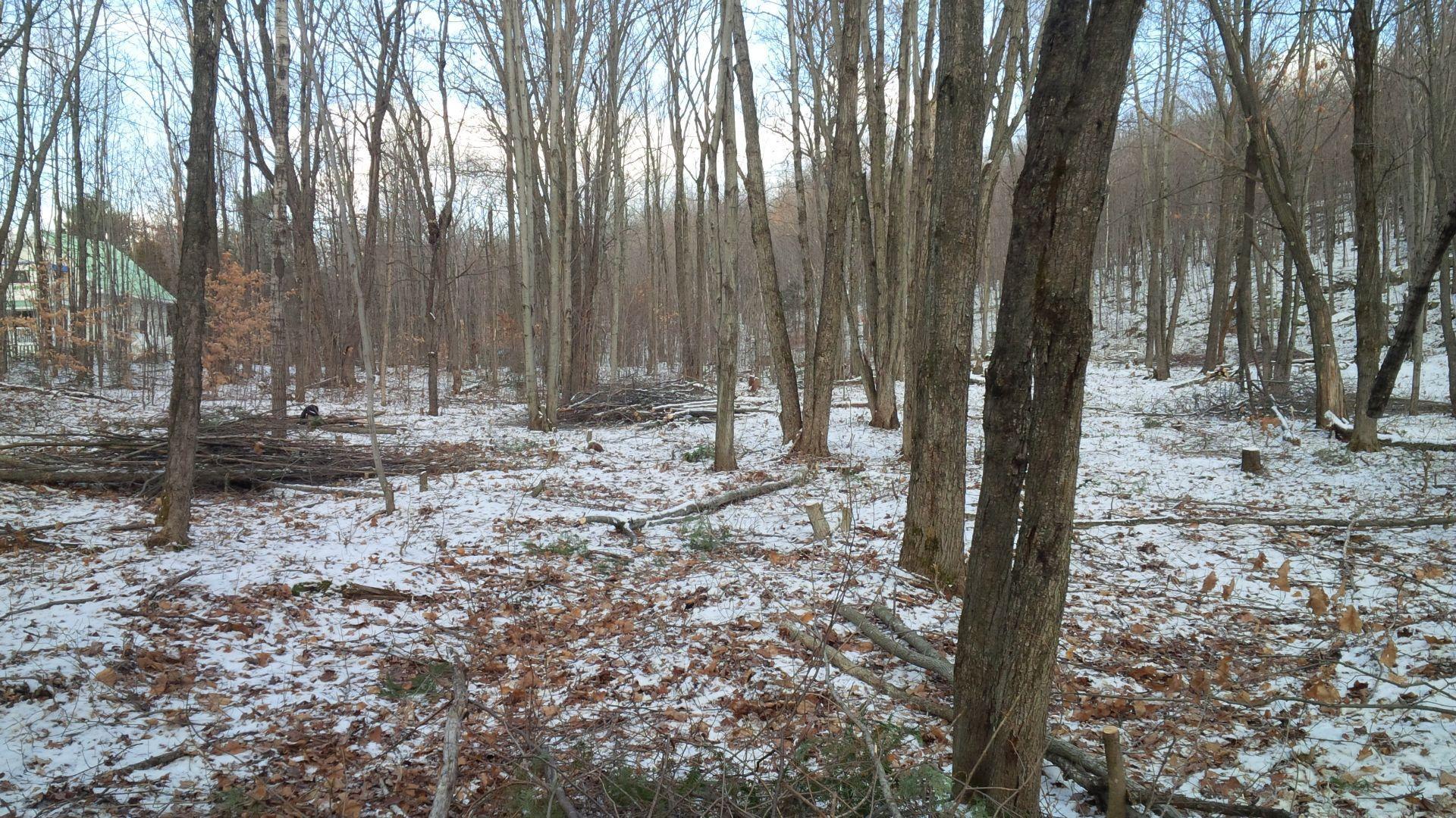 












Rue du Lac-Raymond

,
Saint-Calixte,







QC
J0K1Z0

