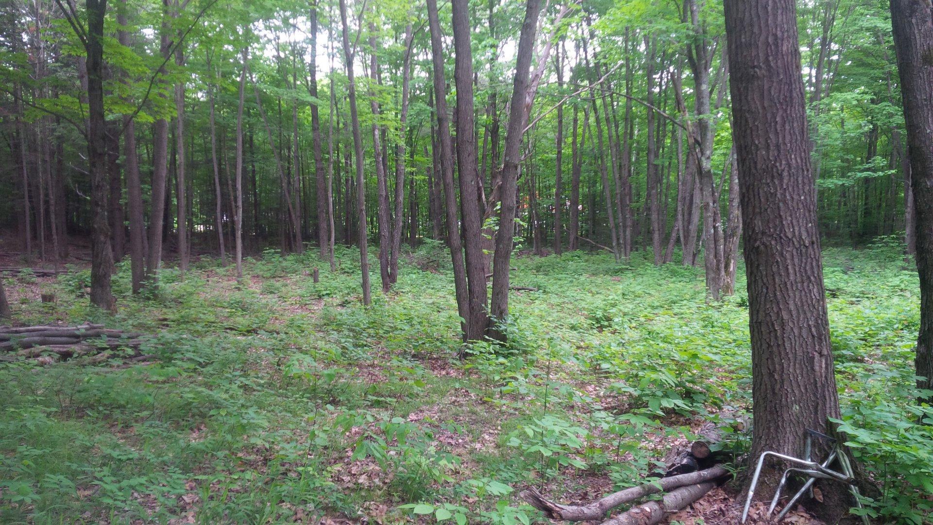












Rue du Lac-Raymond

,
Saint-Calixte,







QC
J0K1Z0

