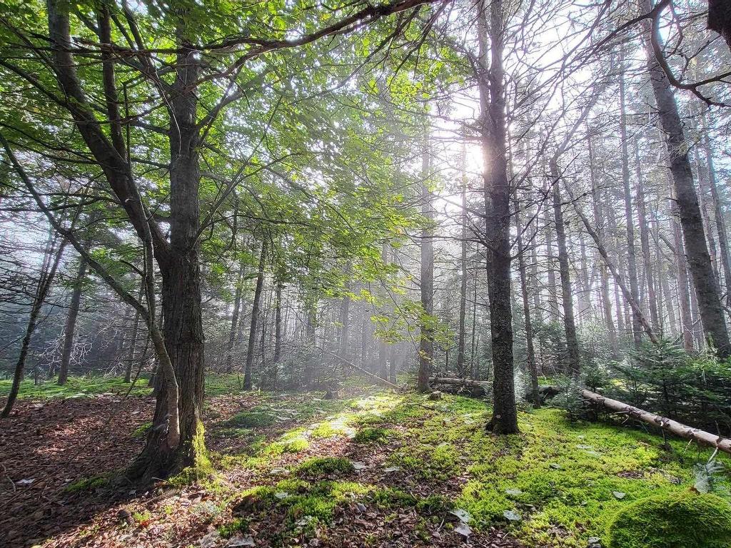 












6989 Highway 16

,
Halfway Cove,







NS
B0H 1N0

