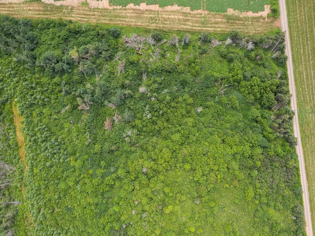 












Lot 09-1 Tommy's Lane

,
Priest Pond,







PE
C0A 2B0

