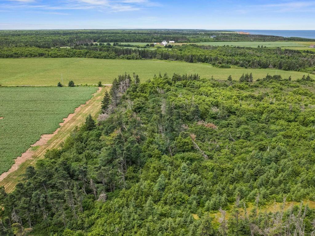 












Lot 09-1 Tommy's Lane

,
Priest Pond,







PE
C0A 2B0

