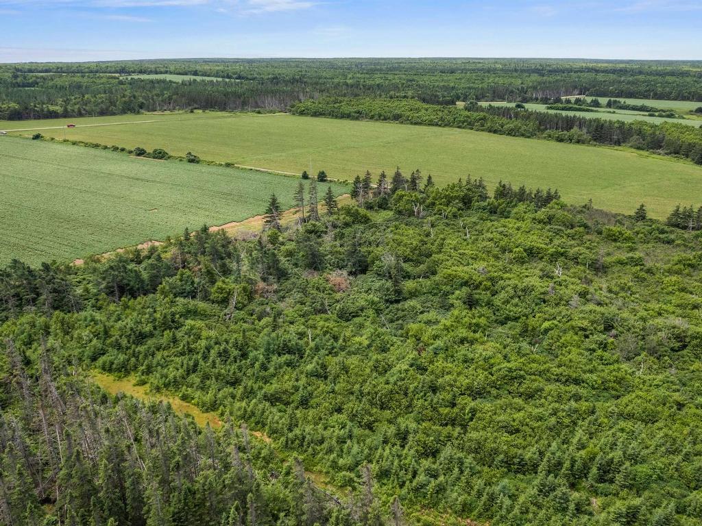 












Lot 09-1 Tommy's Lane

,
Priest Pond,







PE
C0A 2B0

